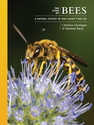 cover image of The Lives of Bees
